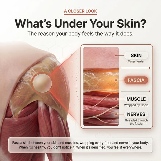 AureliaSecrets Fascial Release